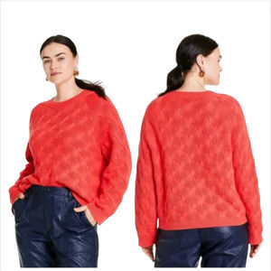 Rachel Comey x Target Chunky Knit Crewneck Sweater in Red - Woman's Medium